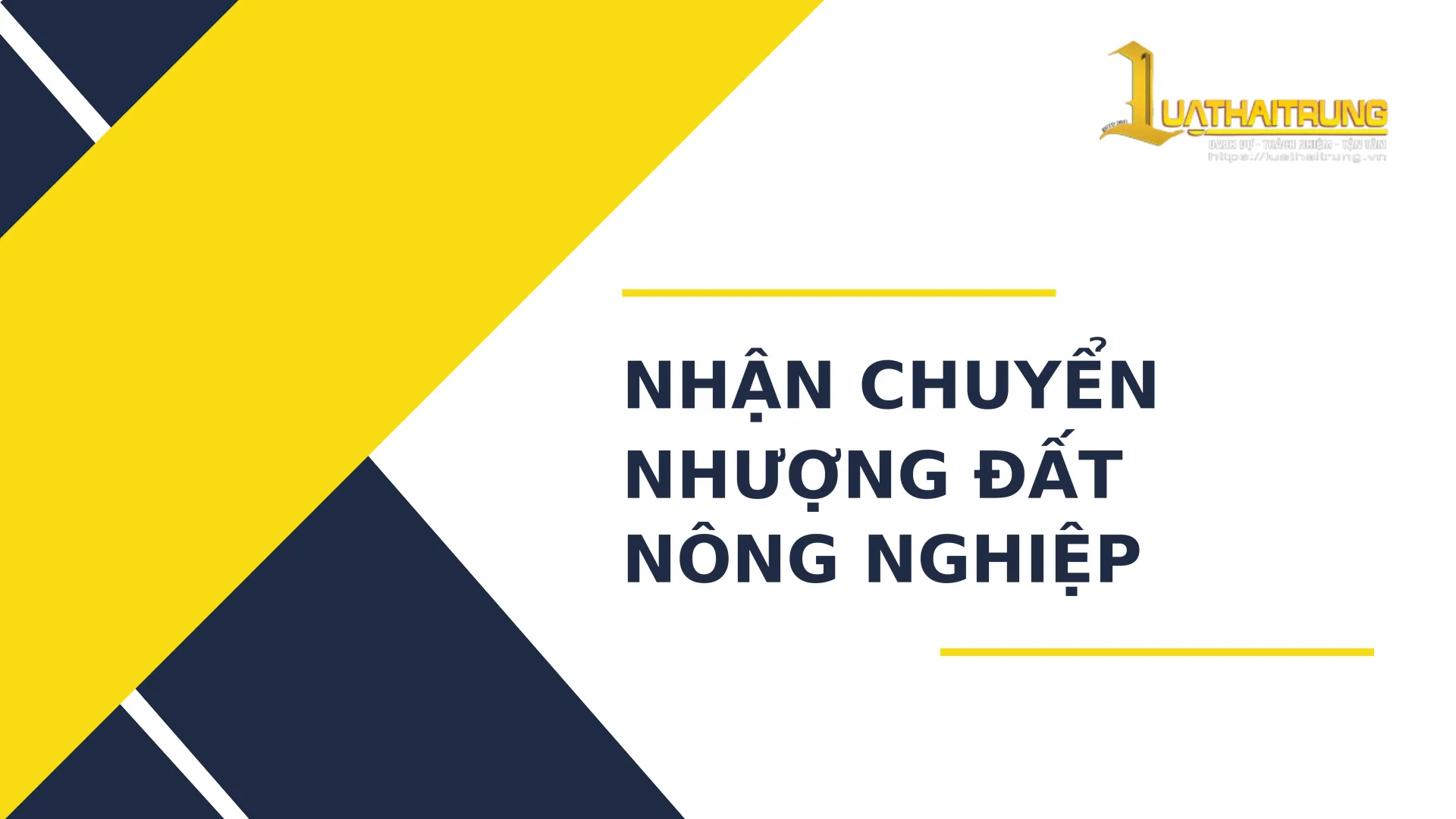 Nhận chuyển nhượng đất nông nghiệp | Luật Hải Trung